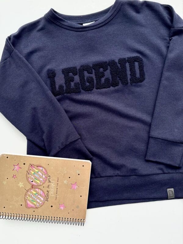 Džemperis LEGEND tamsiai mėlynos spalvos