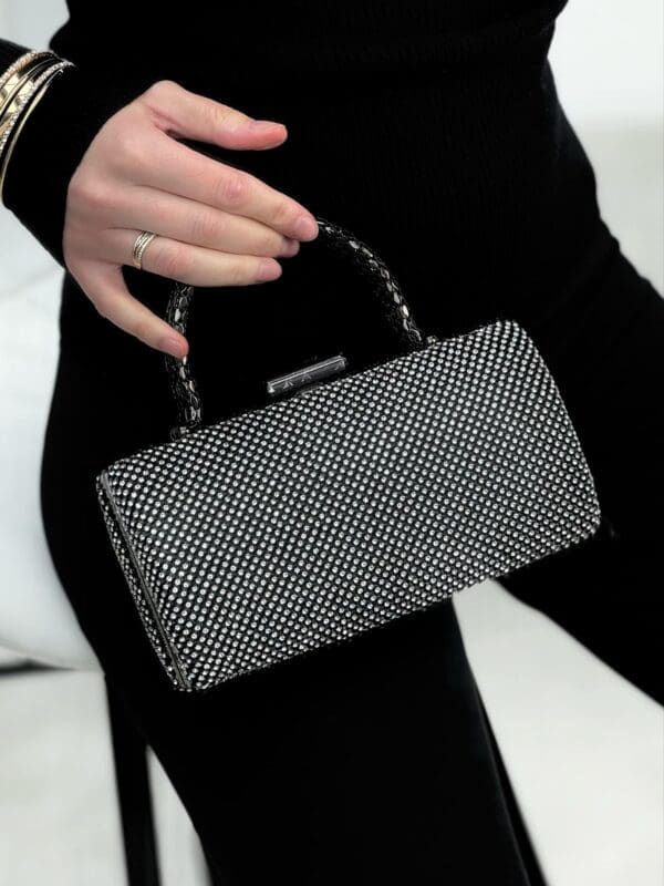 Blizgantis mini rankenukas